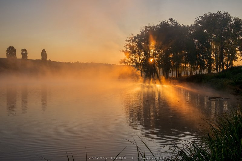 #landscape, #nature, #scenery, #forest, #wood, #autumn, #mist, #misty, #fog, #foggy, #river, #waterfall, #longexposure, #mountain, #vitosha, #bulgari, #aтуман, #лес, #oсень  фото превью