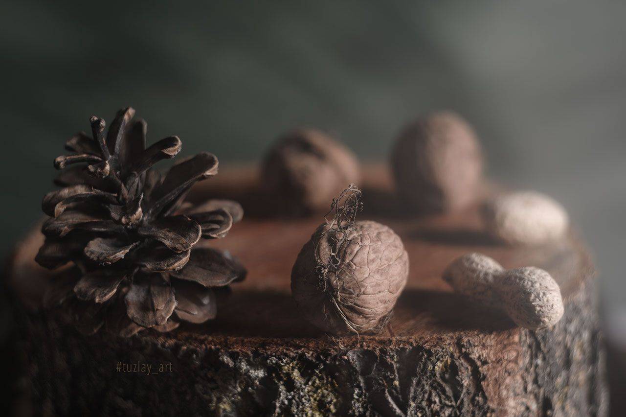 орехи, шишка, арахис, пень, Владимир Тузлай