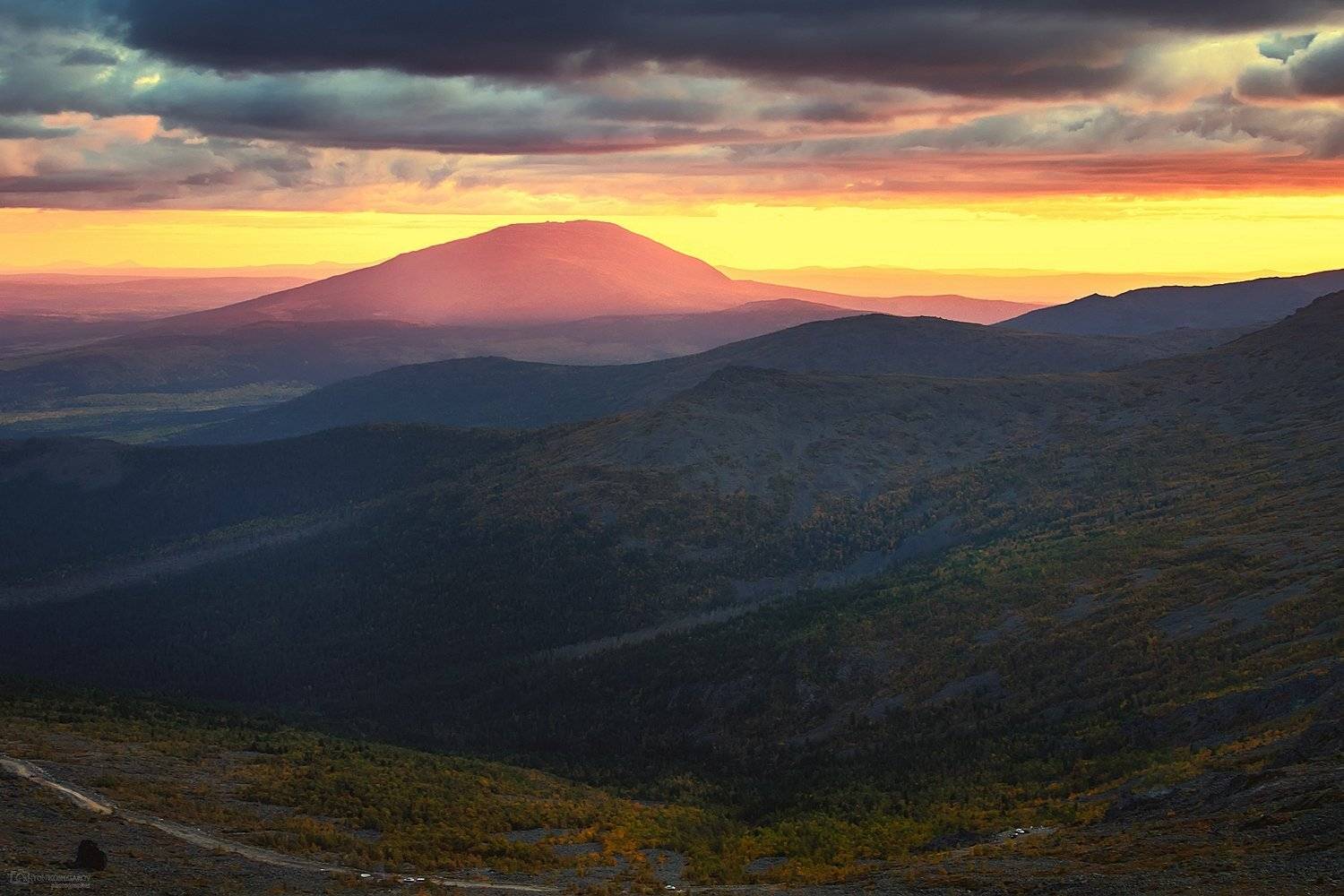 , Антон Кошетаров