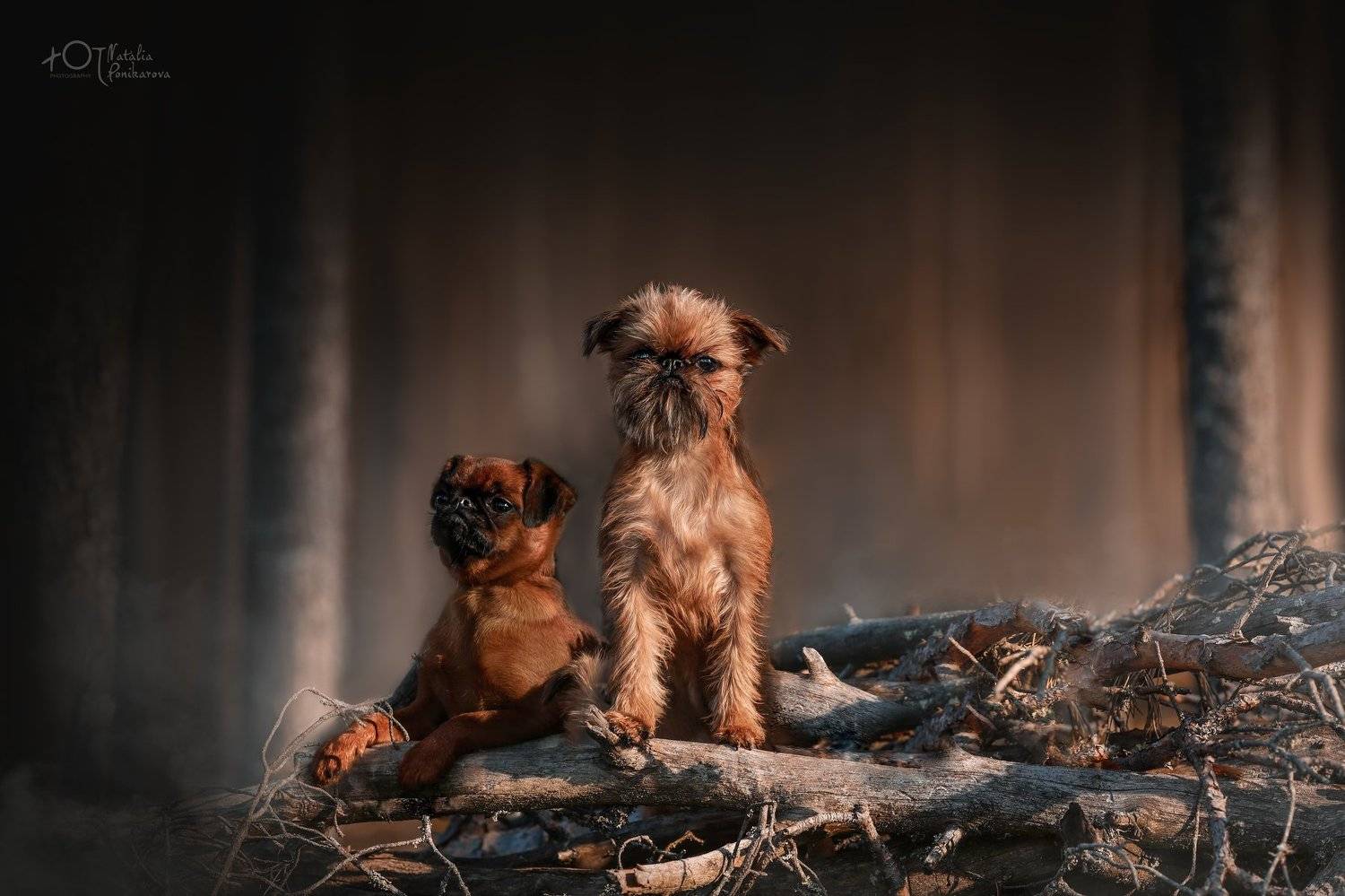 , Наталия Поникарова