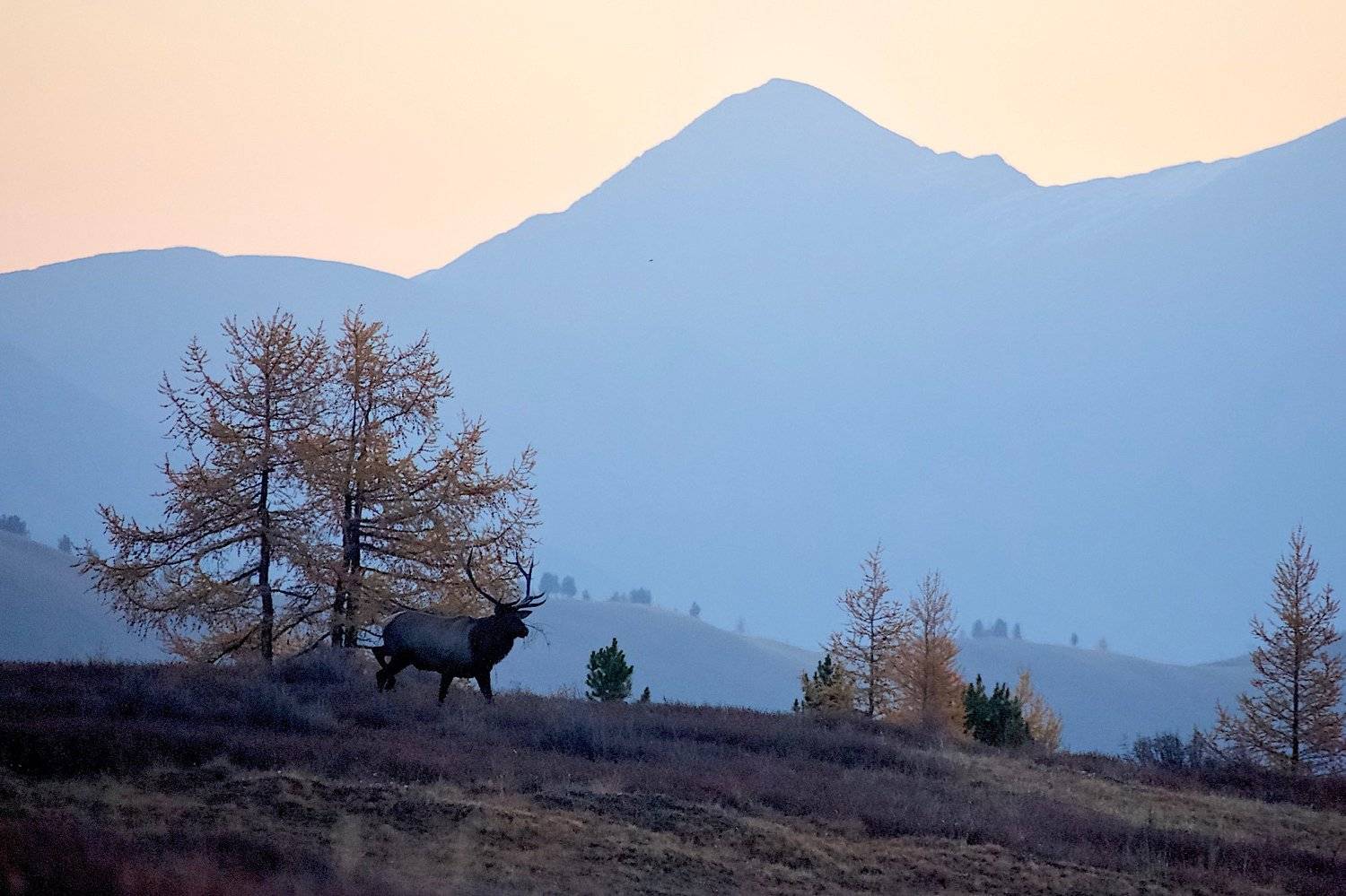 , Мазурин Евгений