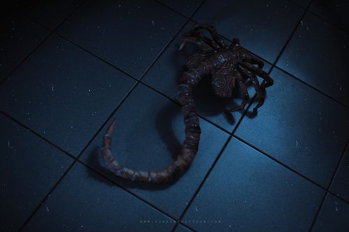 Ч у ж о й :   И з о л я ц и я 