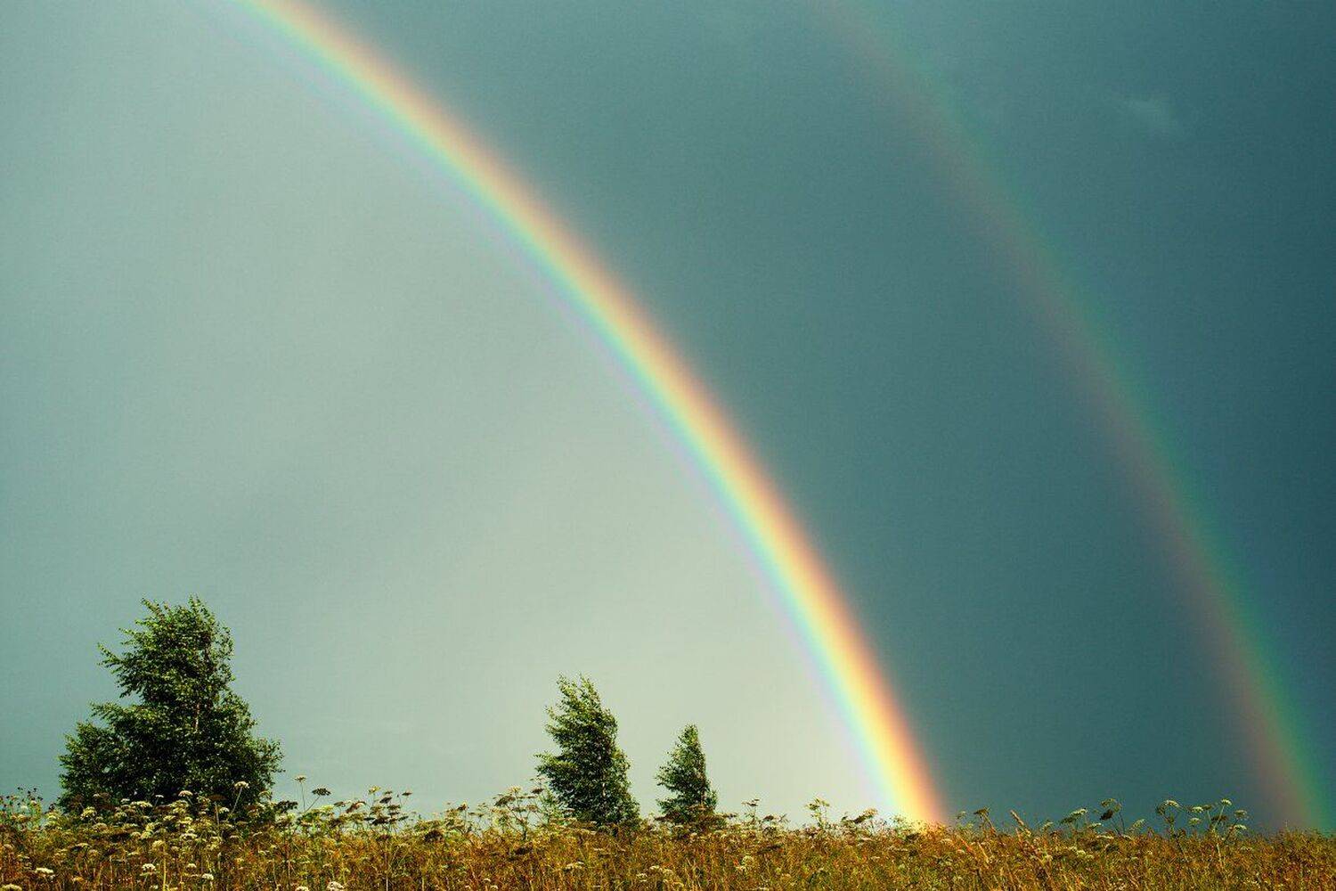 , Дмитрий Жгутов