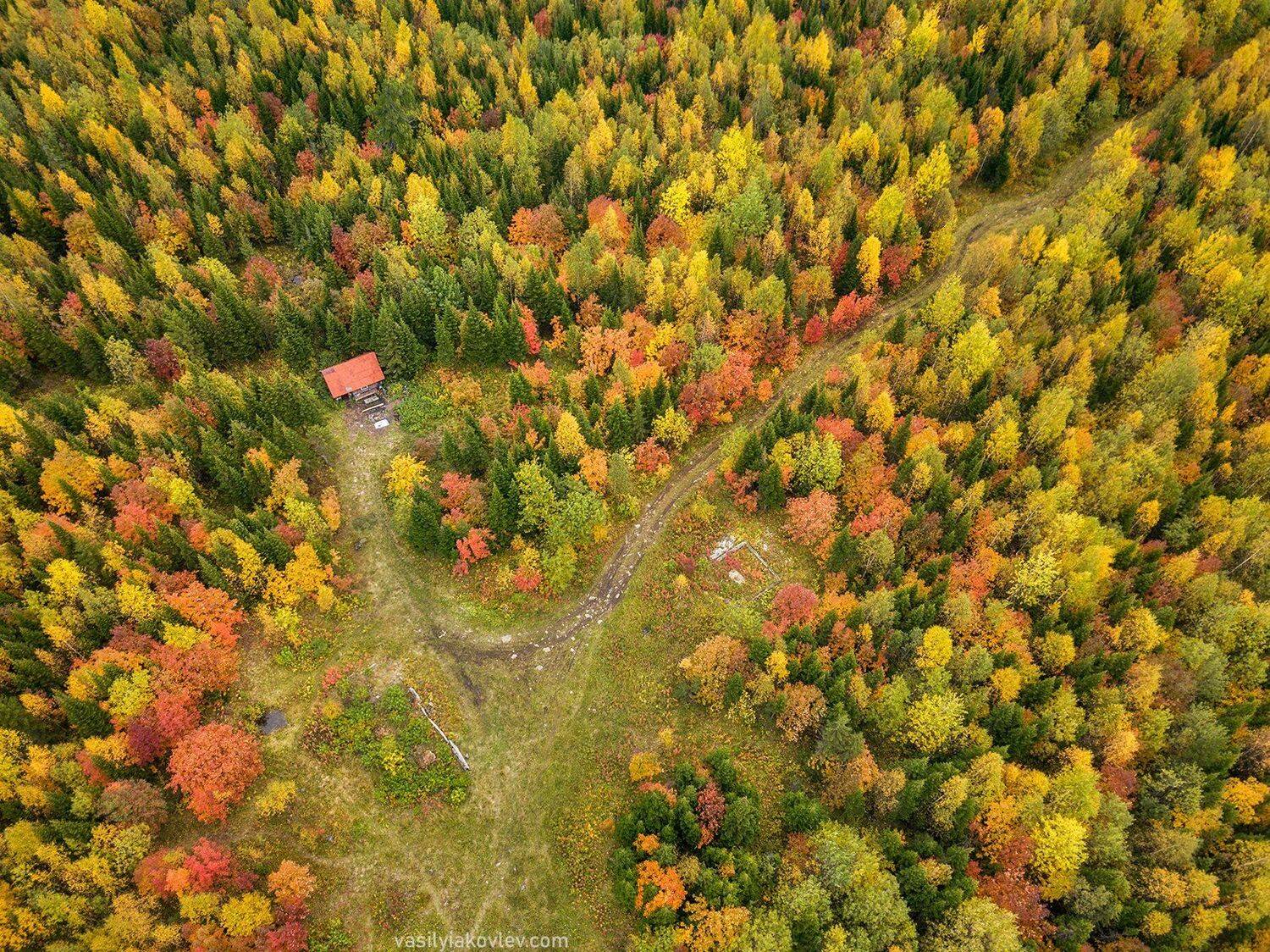 урал, осень, Василий Яковлев