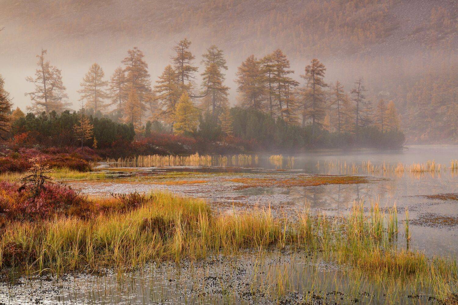 озеро джека лондона, Максим Евдокимов (phototourtravel.ru)
