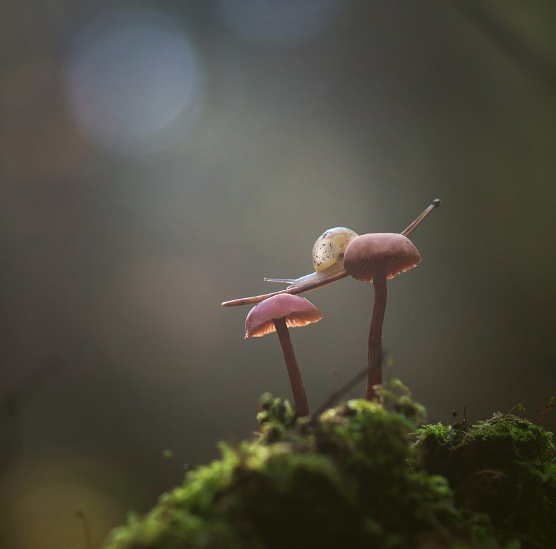 Внимание! Опасный номер! :) фото превью