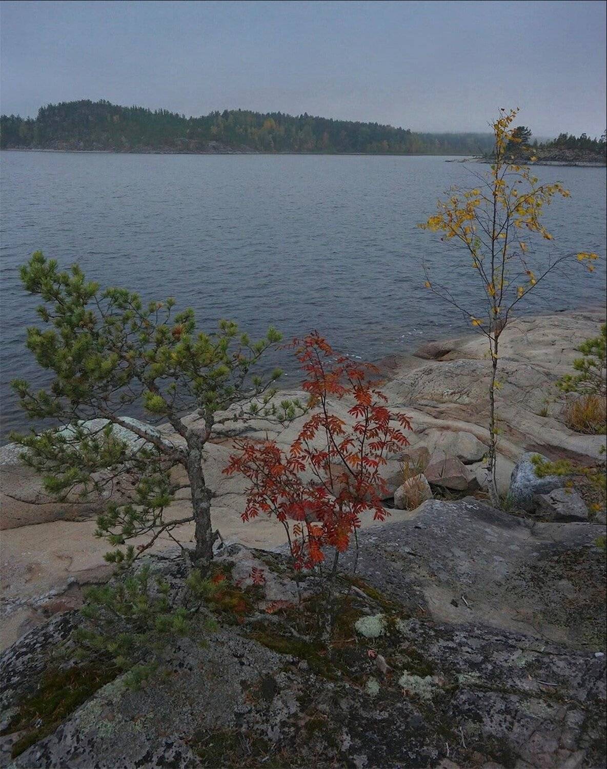 карелия, ладога, шхеры, Петр Косых