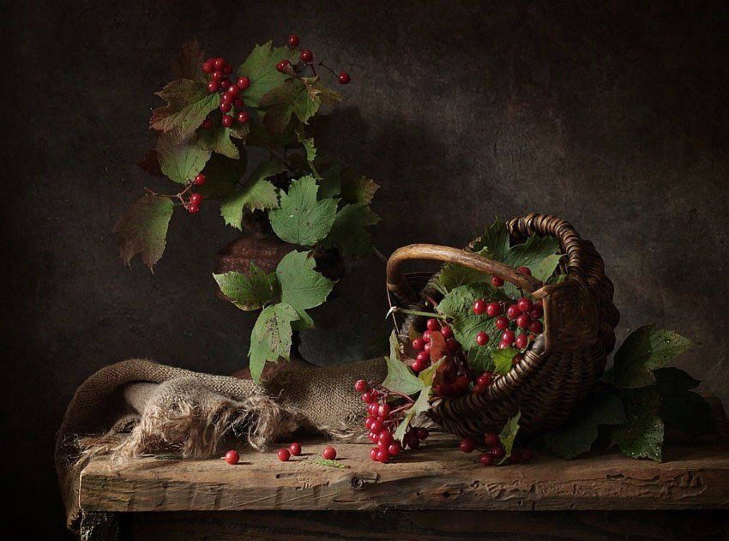 калина, натюрморт, корзинка, ягоды, осень, Галина Рябикова-Багузова