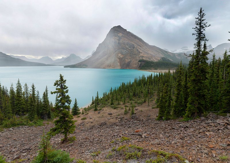 озеро, канада, банф, дождь Дождь над озером Боу фото превью