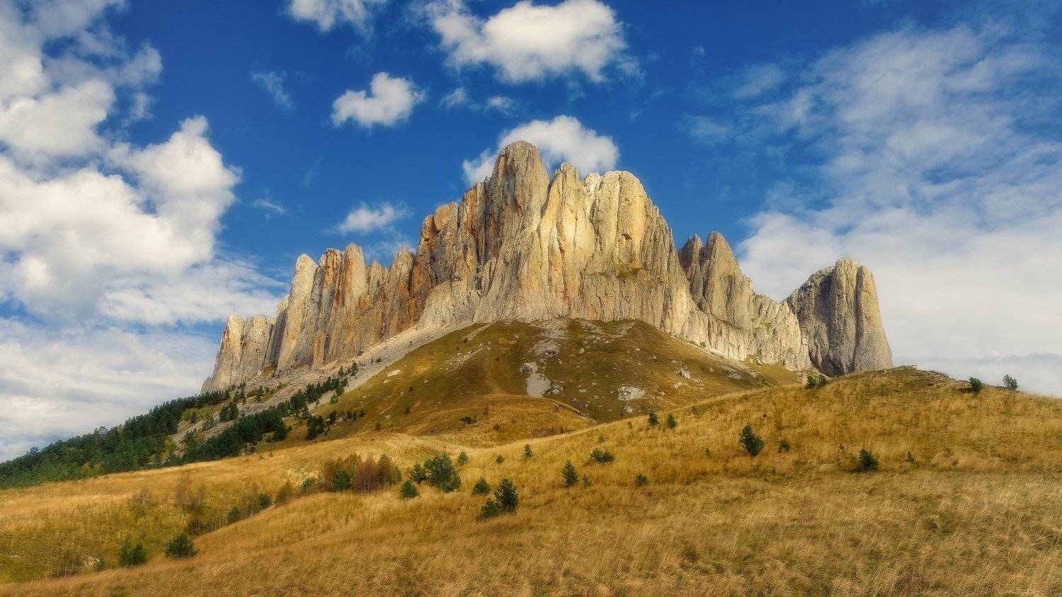 , Alexander Plekhanov