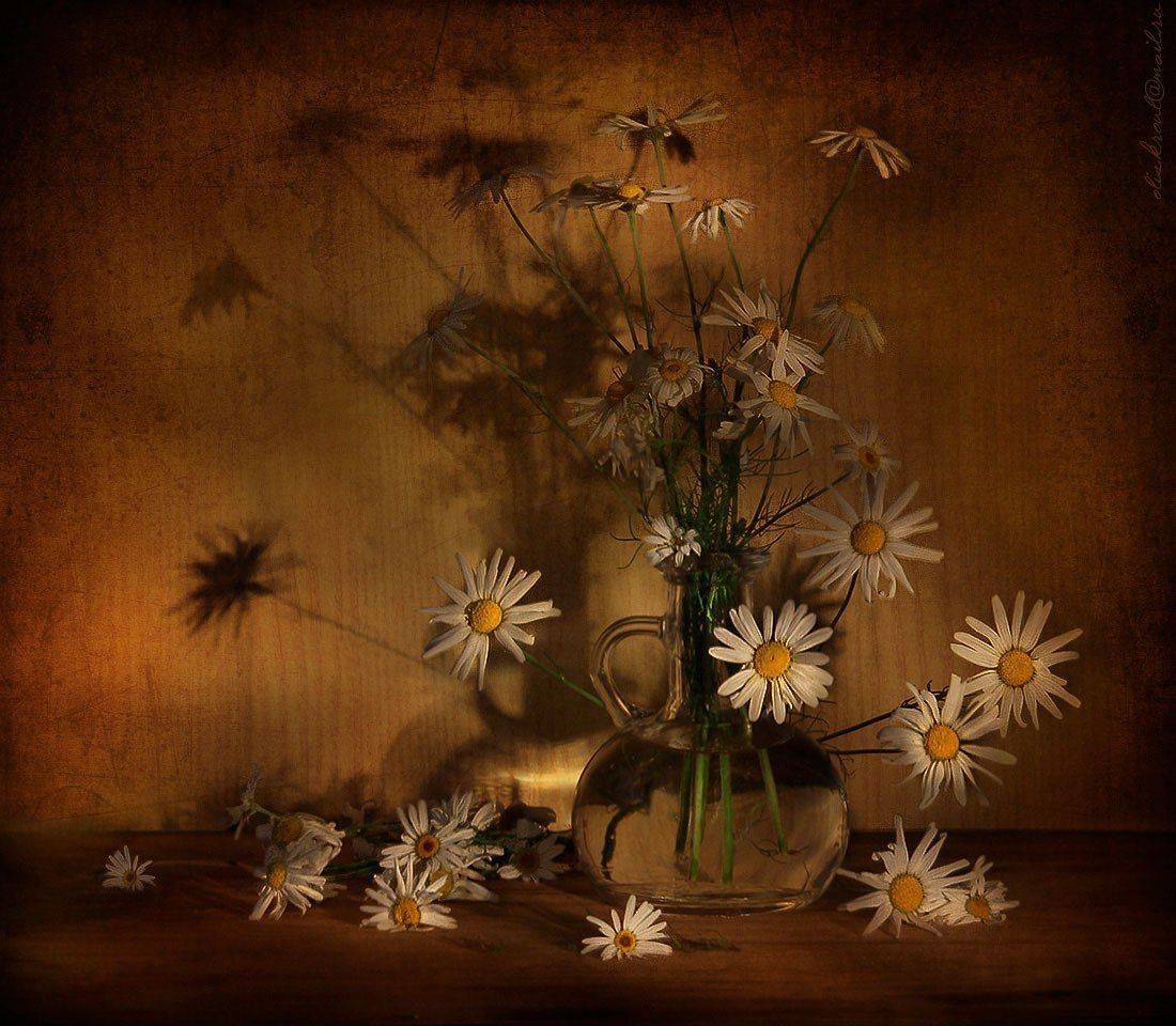 натюрморт,ромашки, Елена Рубинская