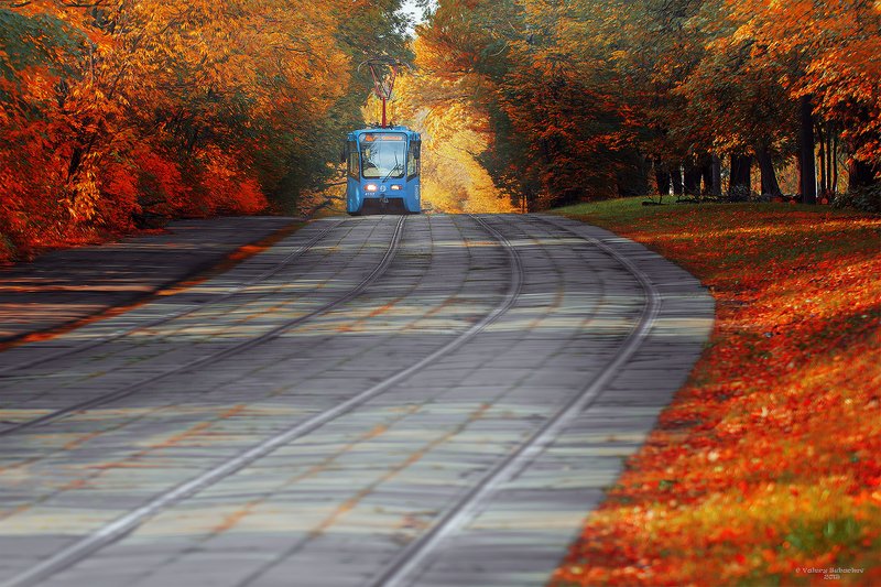 Трамвай в Сокольниках фото превью