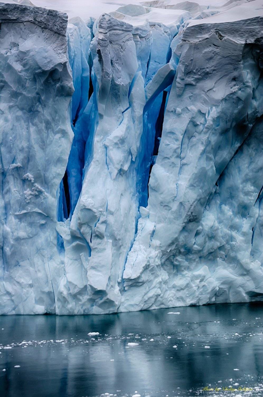 , Николай Шелепов