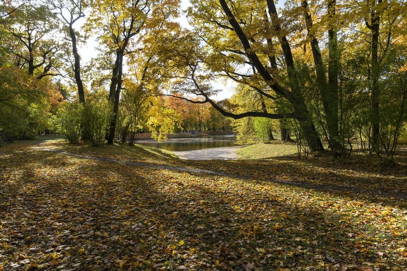 Осень в Александровском парке фото превью