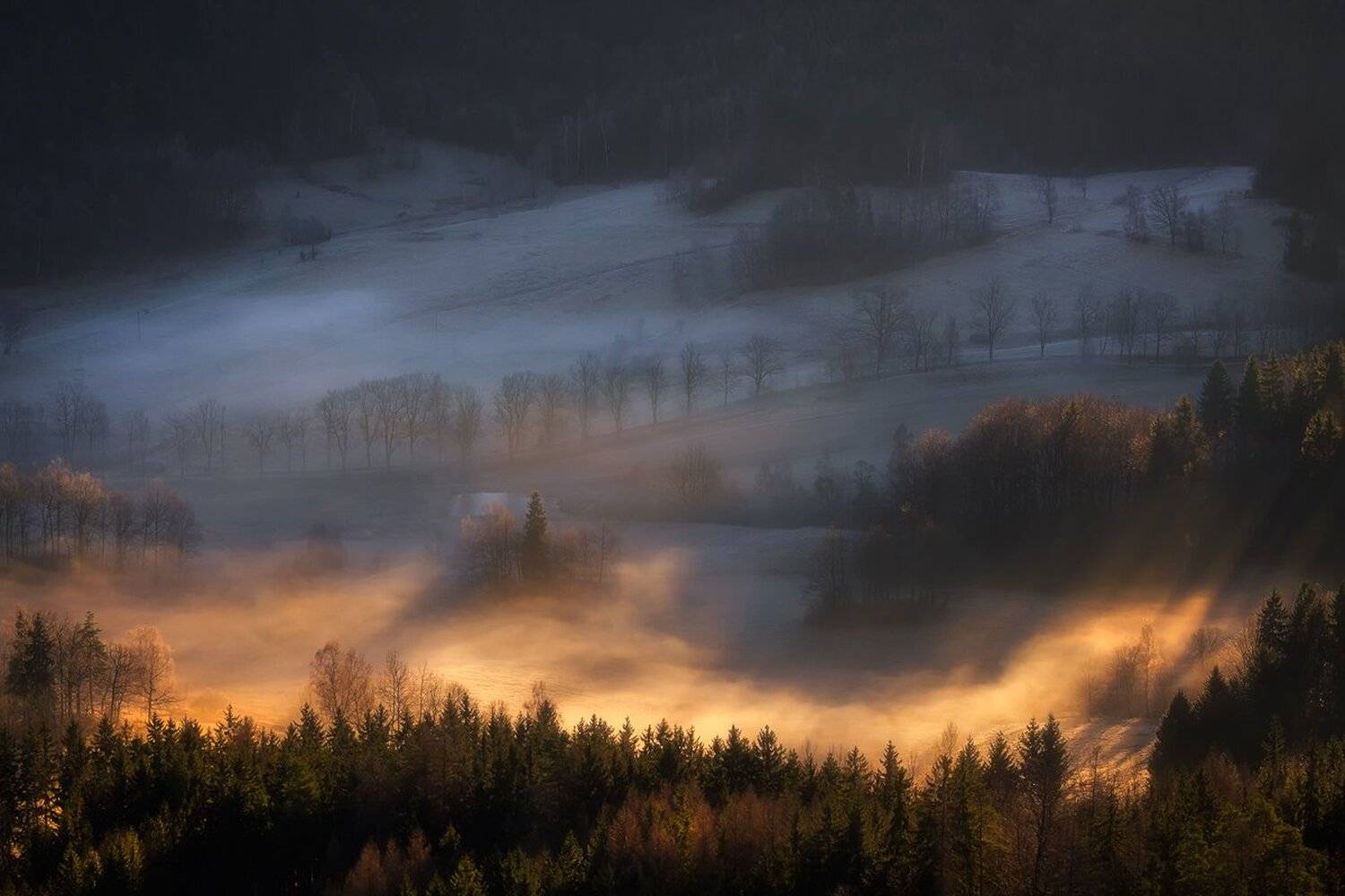 landscape,canon,mist,light,autumn, Iza i Darek Mitręga