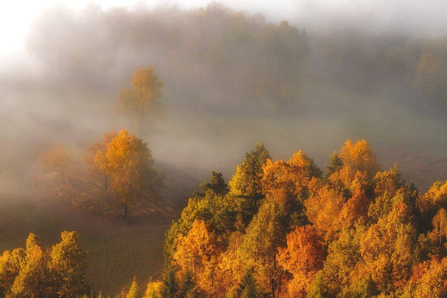 landscape,canon,mist,light,autumn, Iza i Darek Mitręga