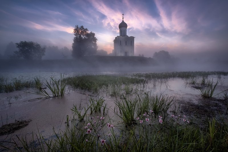 Отцветает фото превью