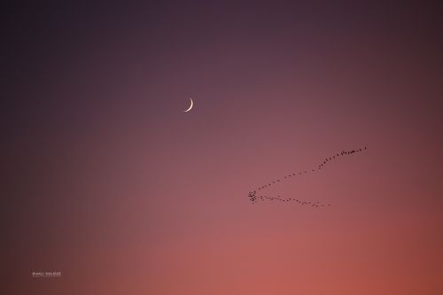 Today's Moon