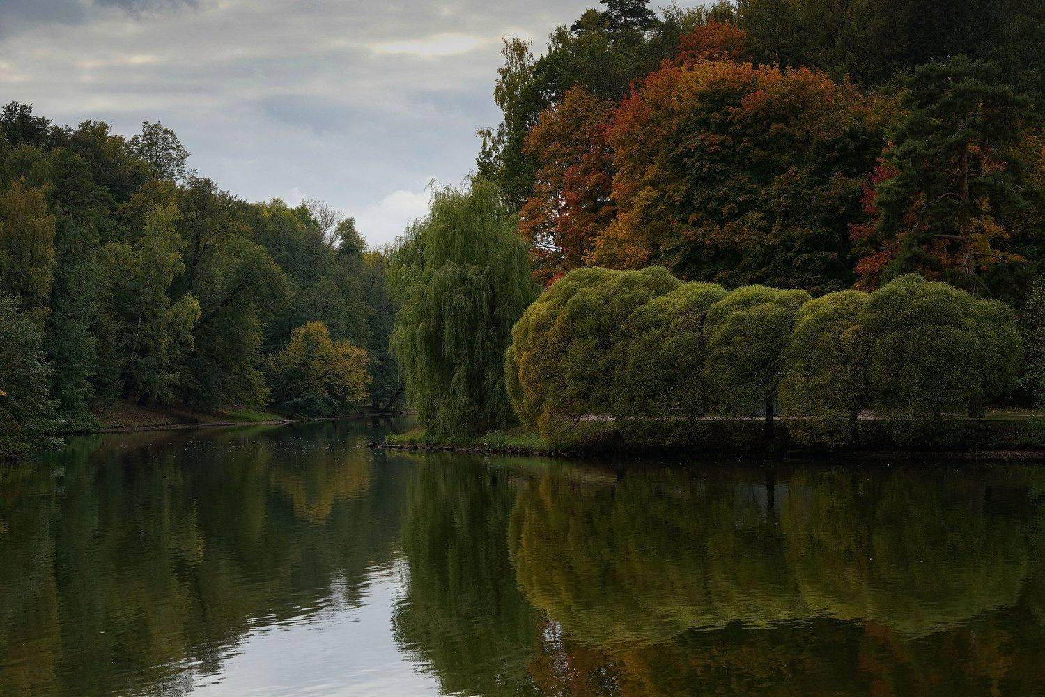 пейзаж осень пруд листья, Владимир Фирсов