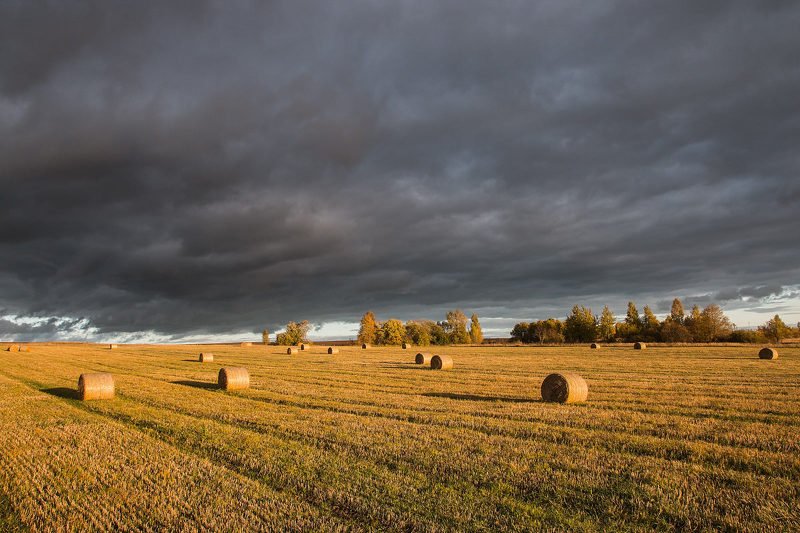Осенние краски фото превью