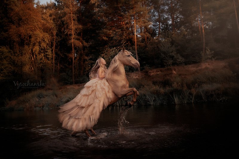 girl riding golden horse фото превью