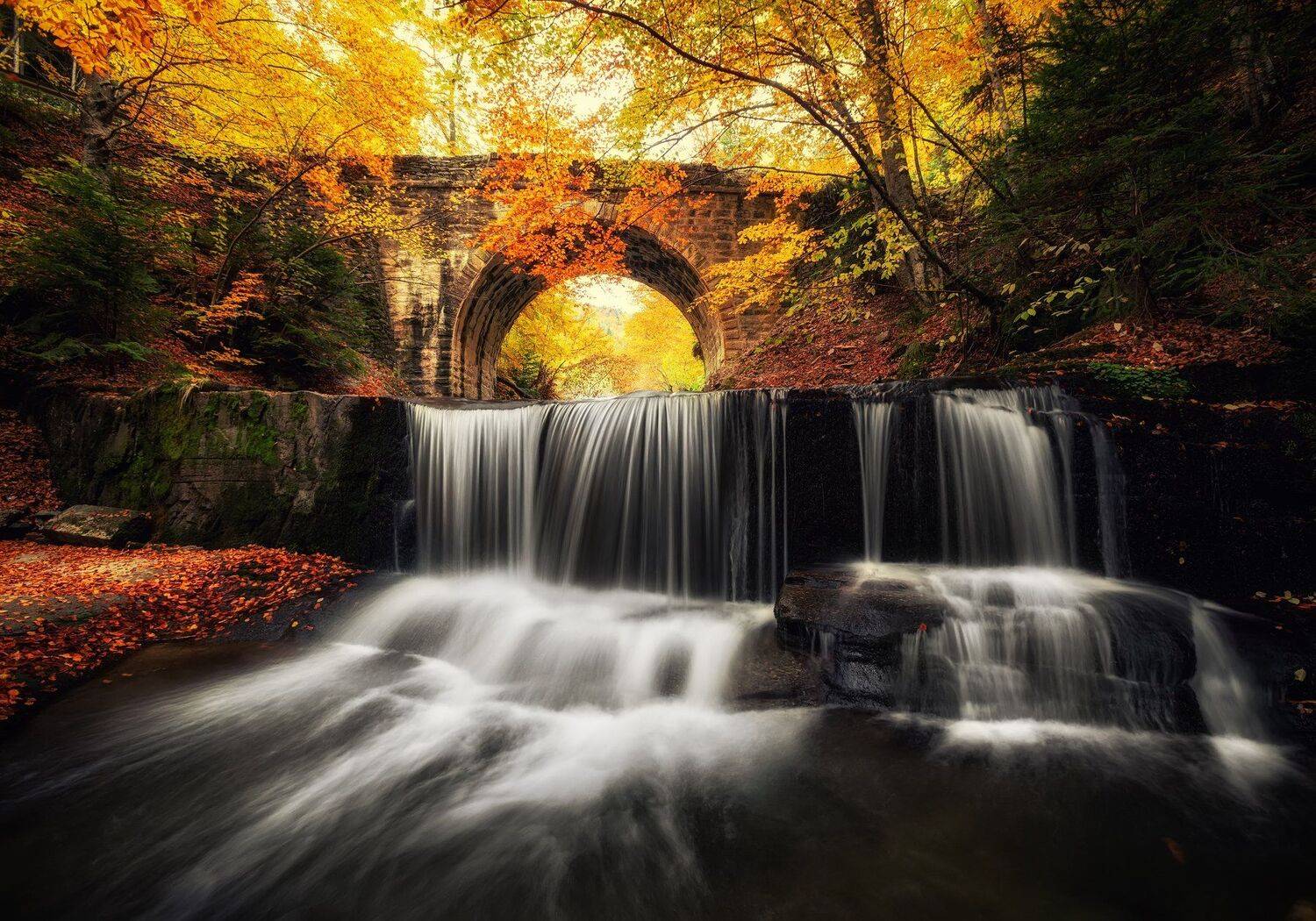 , Костадин Маджаров