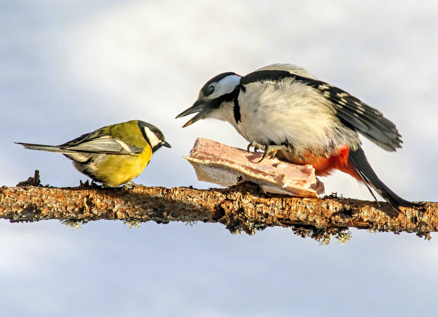, Михаил Белоусов