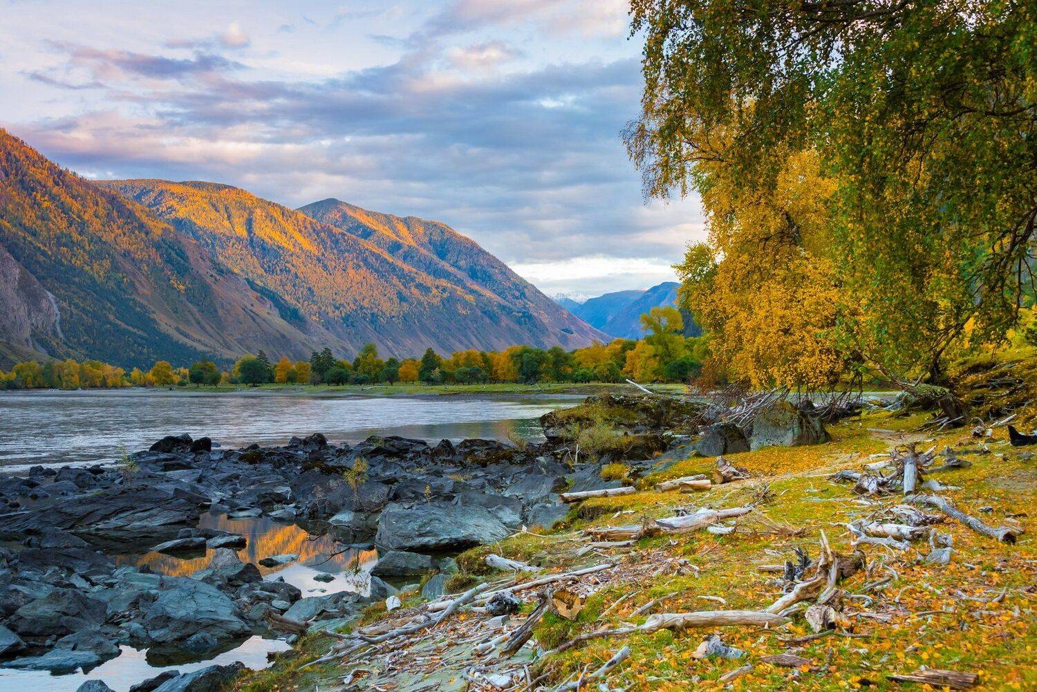 алтай, Татьяна Степанова