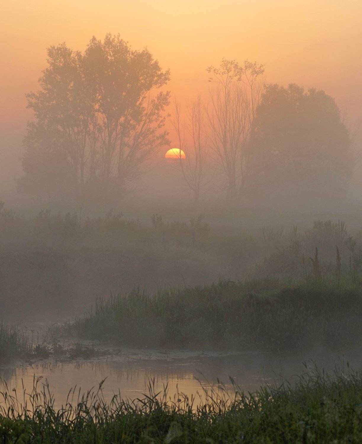 рассвет, филипповское, владимирскаяобласть, Петр Косых
