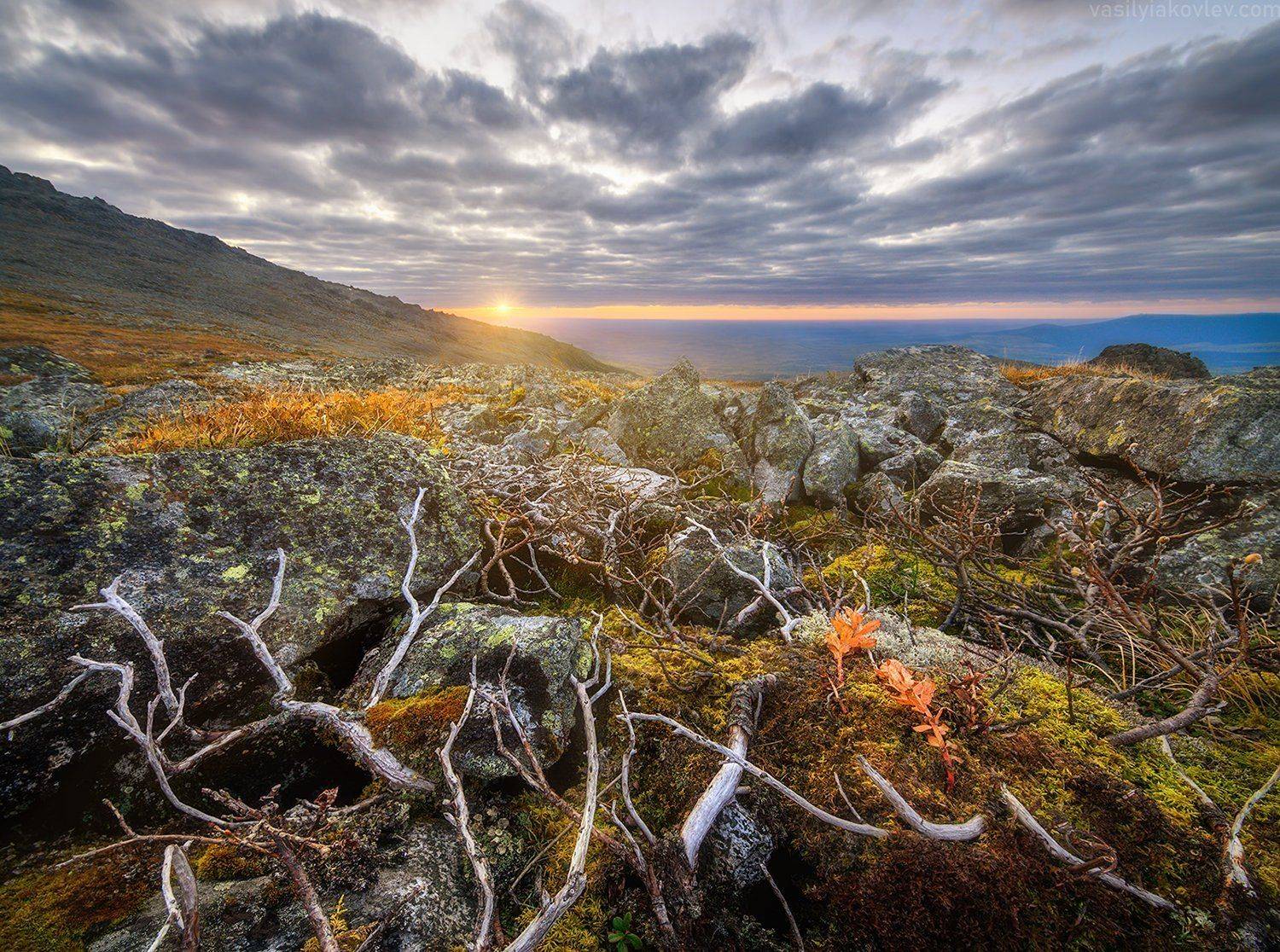 , Василий Яковлев