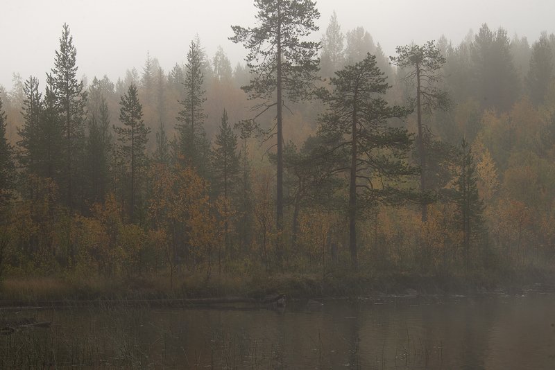 Как-то утром фото превью