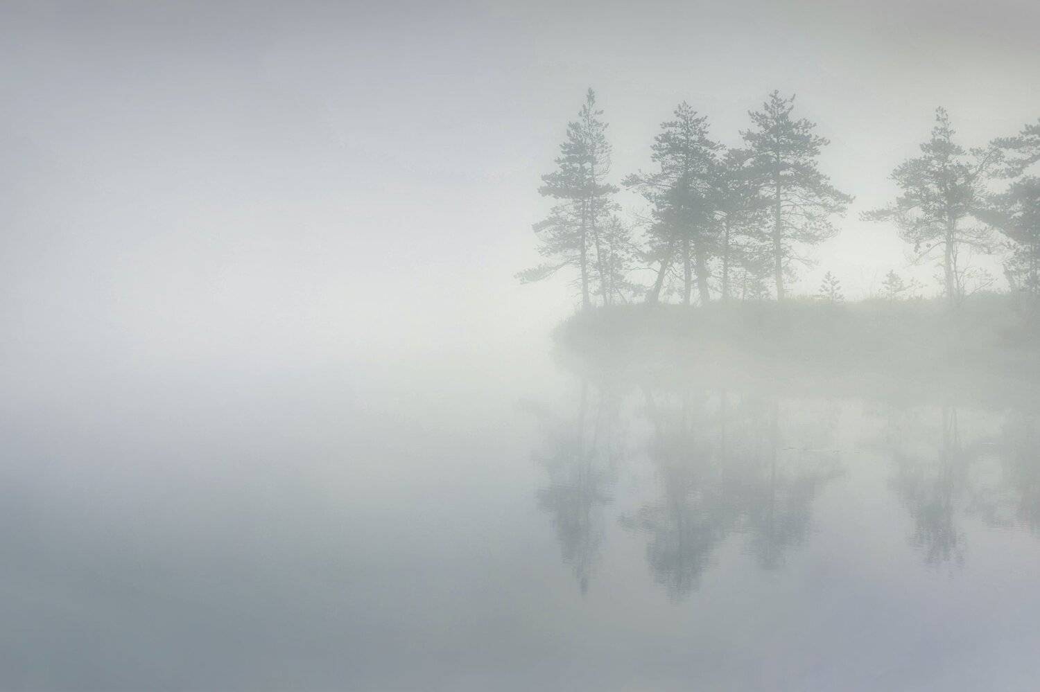 болото, кайф, рассвет ,север ,солнце, свет, закат, минимализм, отражение, фототур, Павел Ващенков