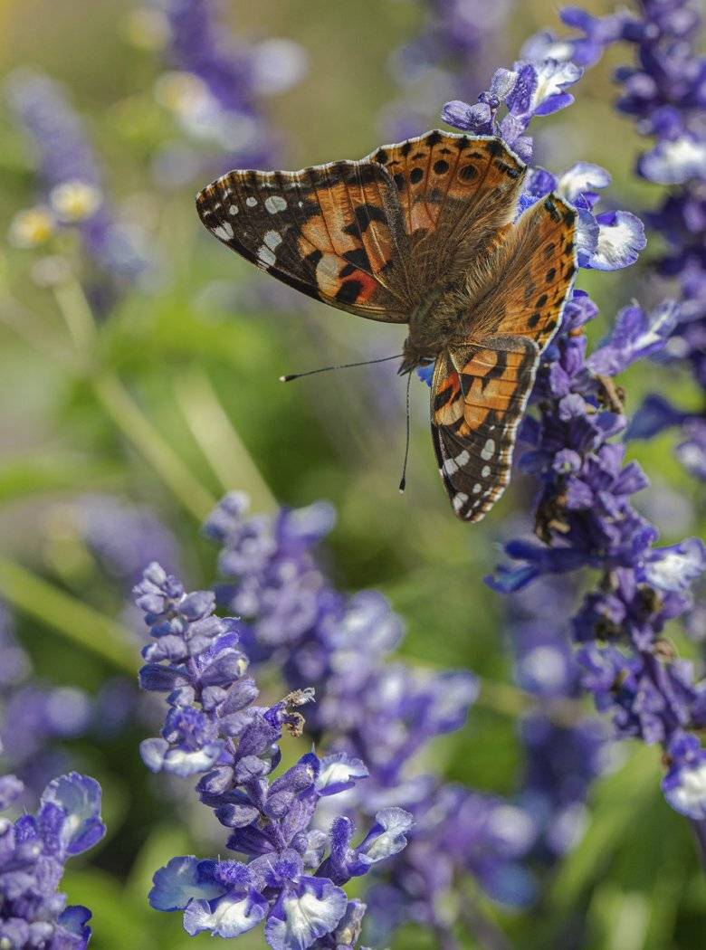 , Евгений Слободской