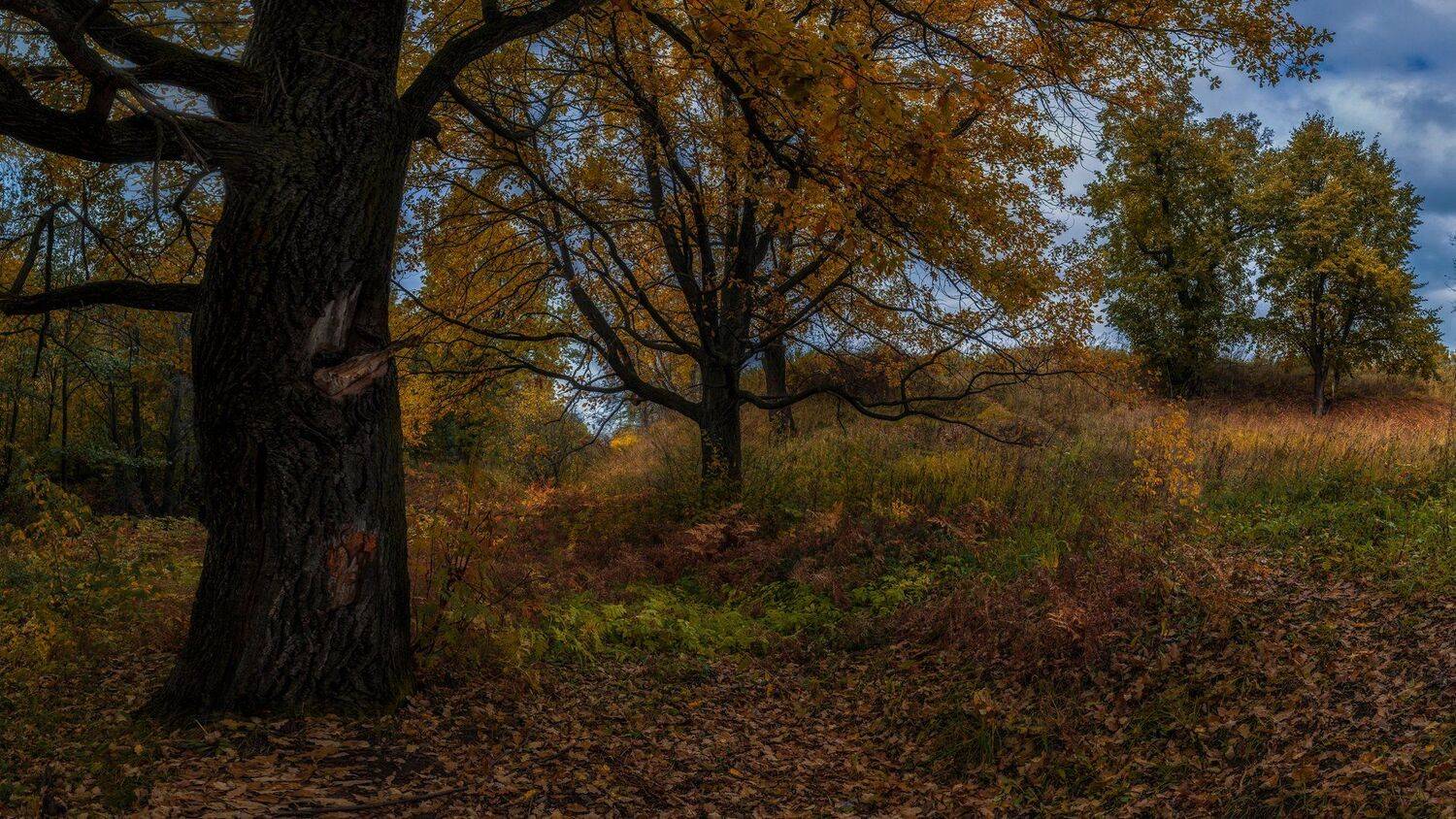 , Марат Кучкаев