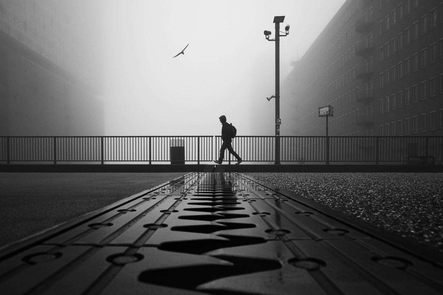 bnw, hamburg, bird, people, urban, street, bridge, metal, lantern, Alexander Sch&ouml;nberg