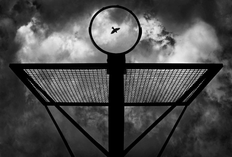 Nest фото превью