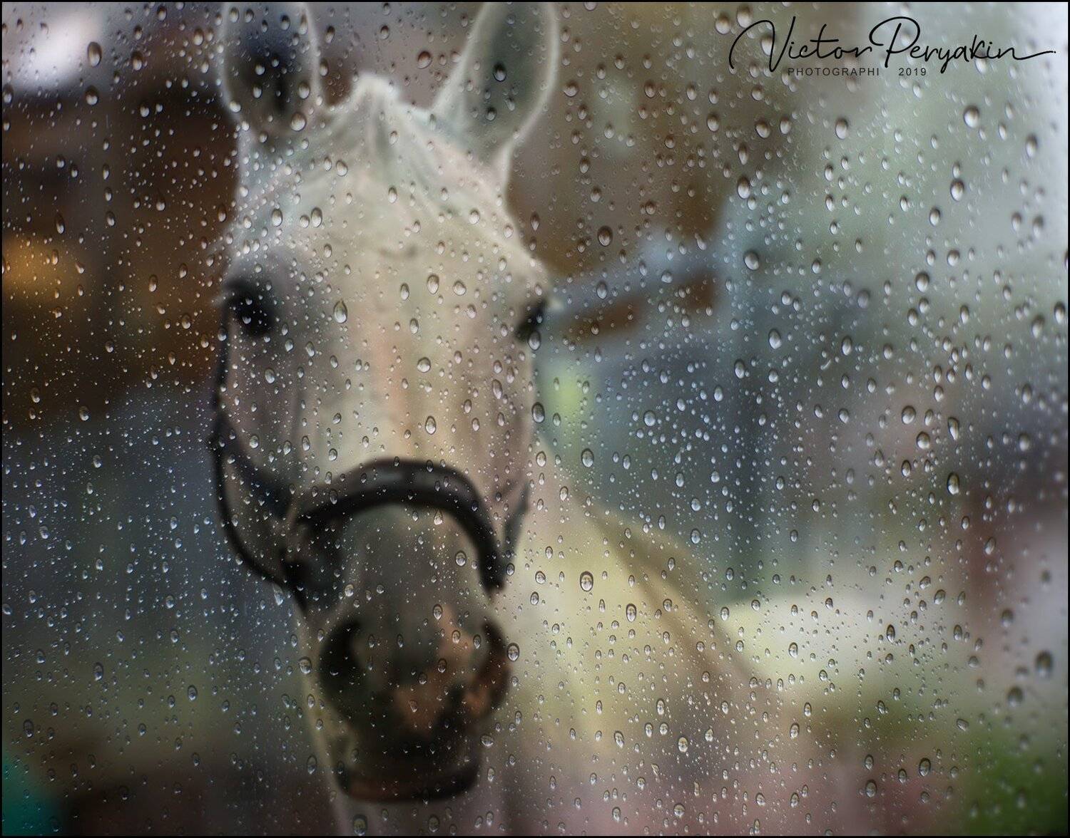 , Виктор Перякин