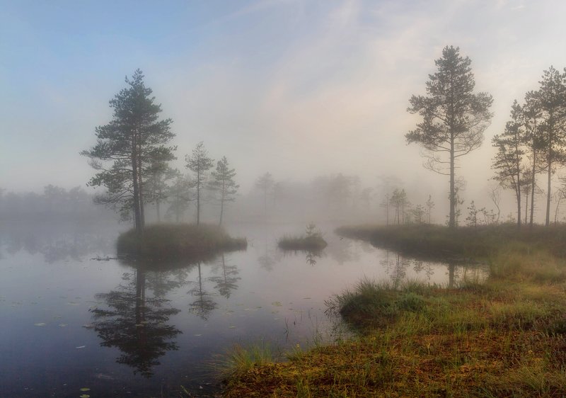 Рассвет на болоте фото превью