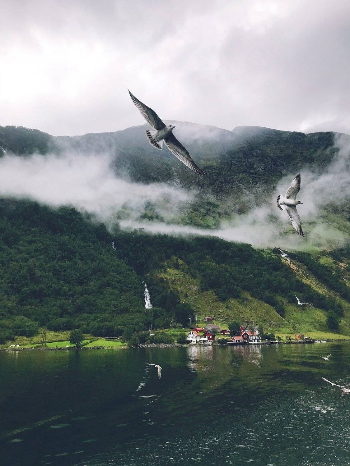 , Синицына Юлия