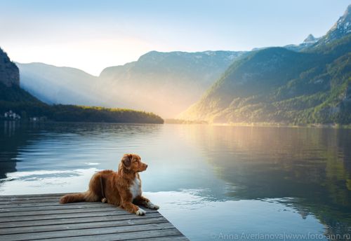 утро на озере