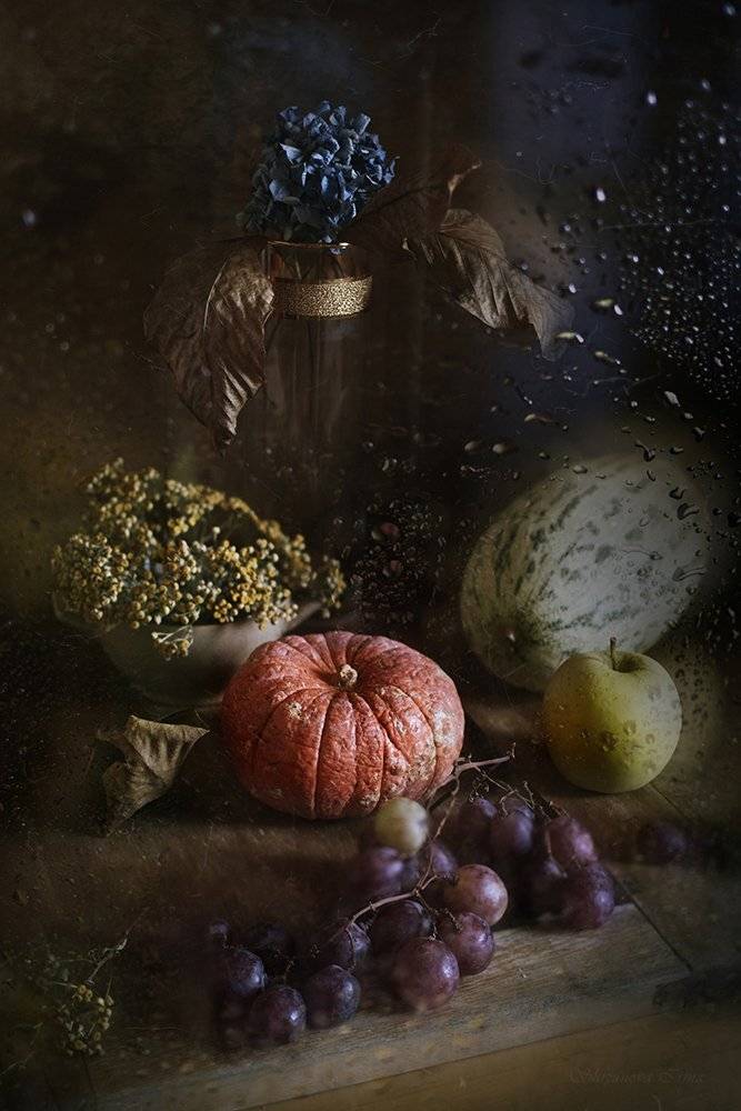 , Шипунова Ирина