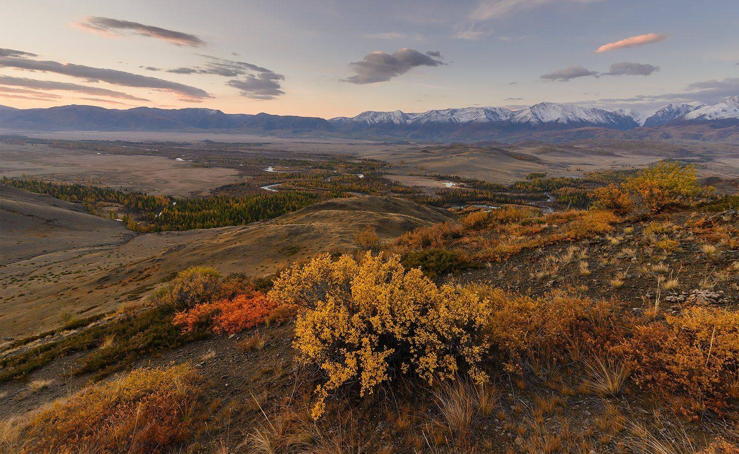 , Дмитрий Д.