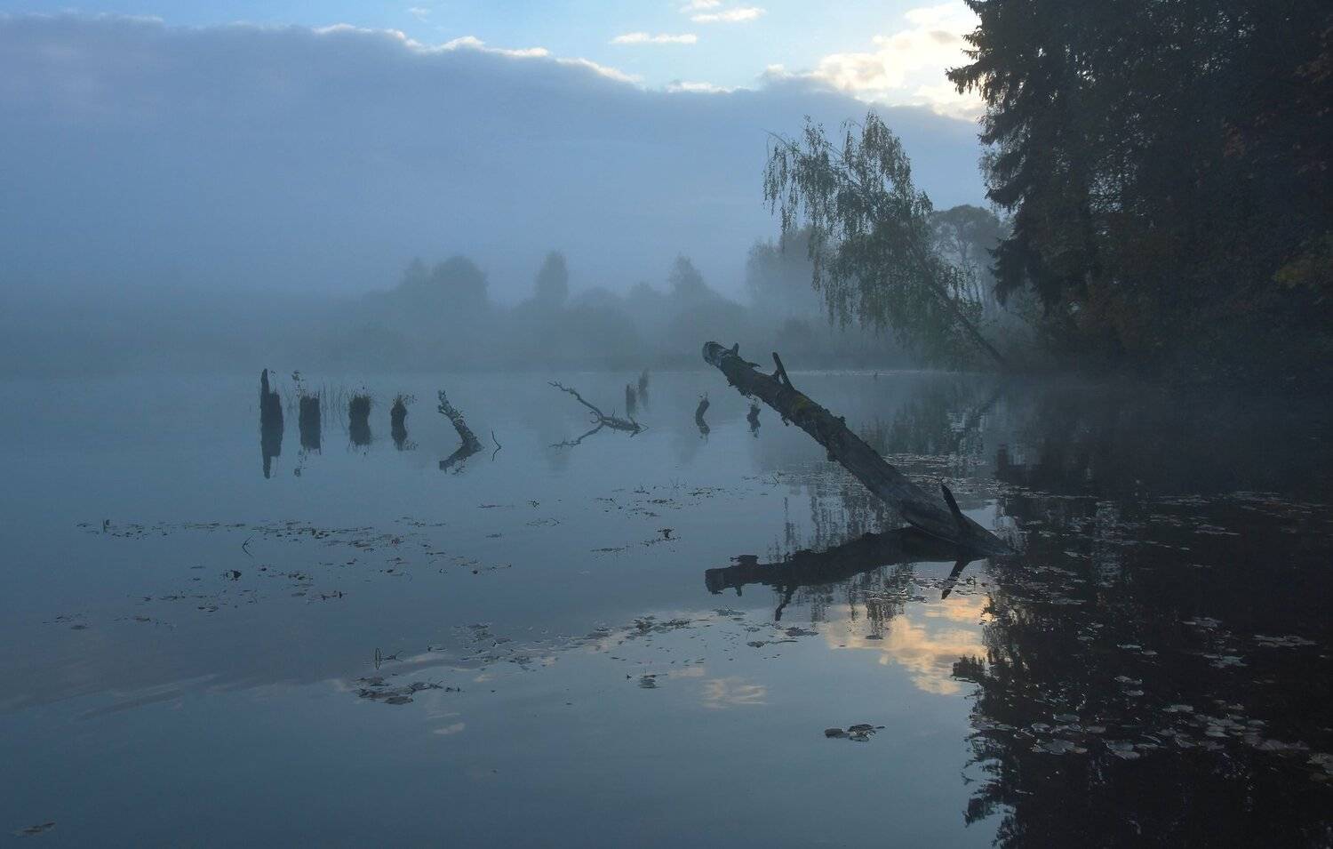 , Макеев Алексей