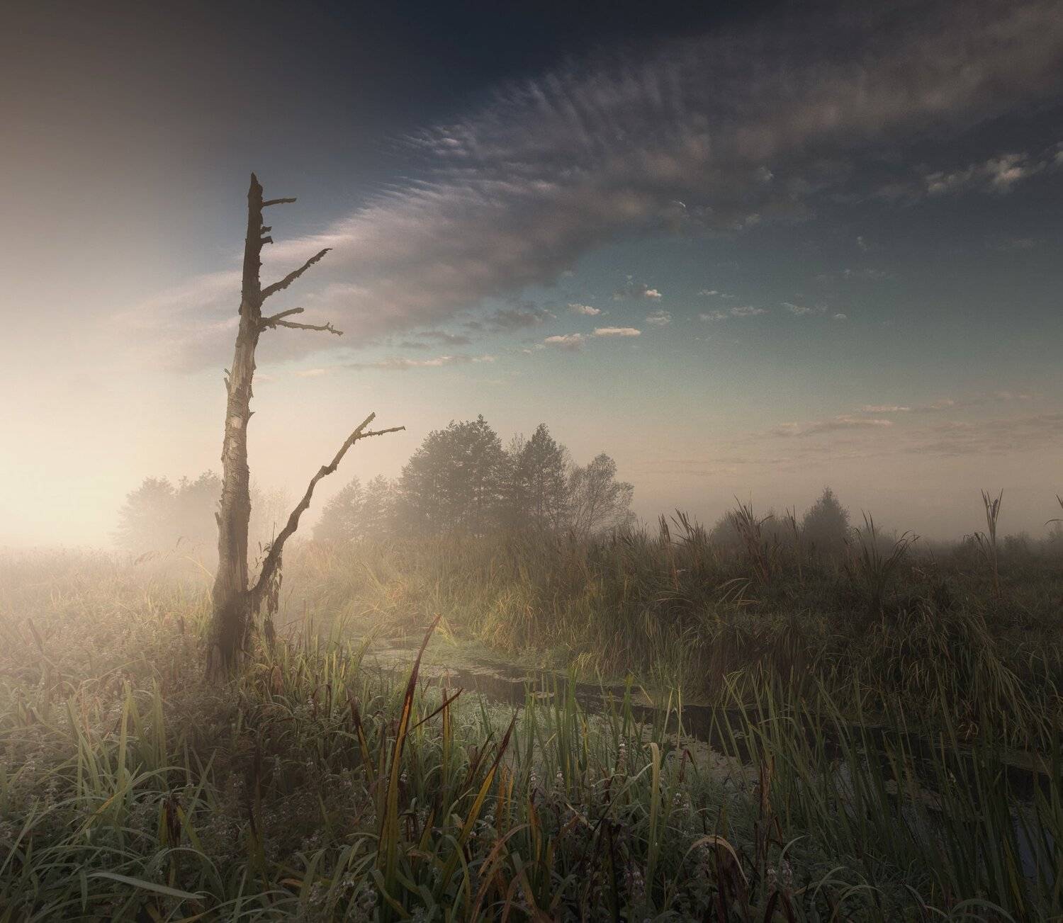 , Сергей Москалянов