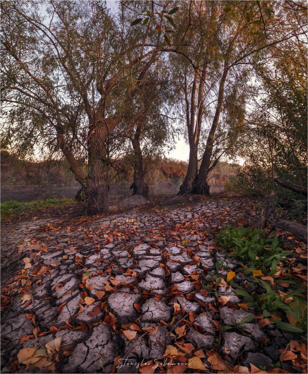 утро, рассвет, туман, осень, осенняя, осенняя пора, пейзаж, дерево, река, Станислав Саламанов