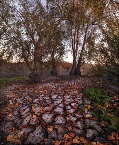В ожидании осенних дождей
