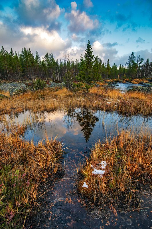 осень Пейзаж с пригоршней снега ... фото превью