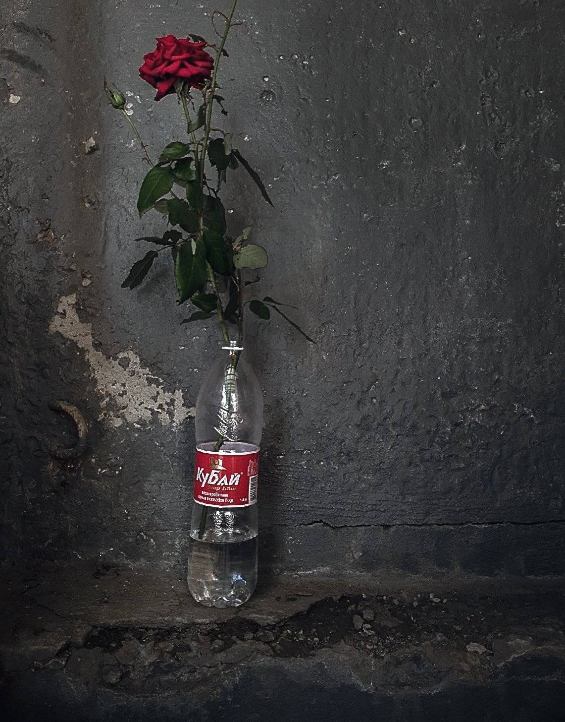 , Владимир Осауленко