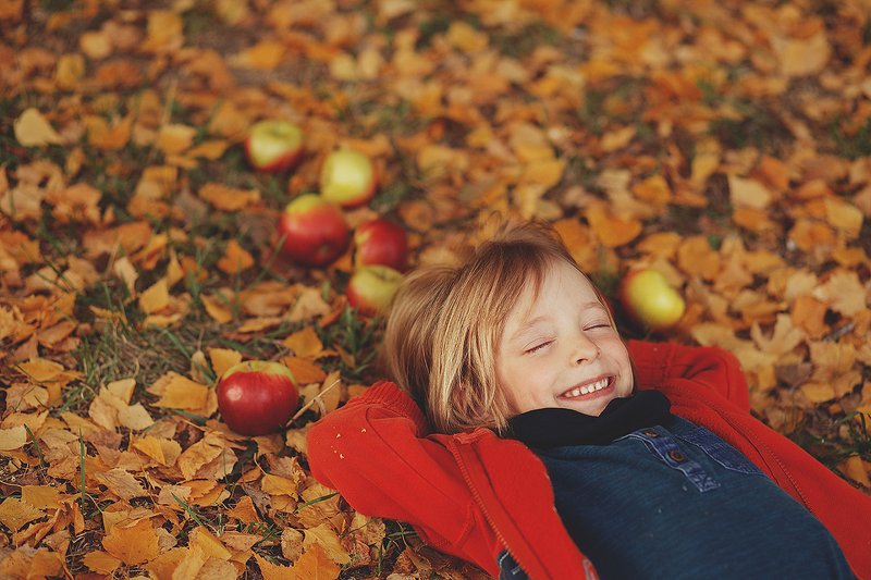 осень фото превью