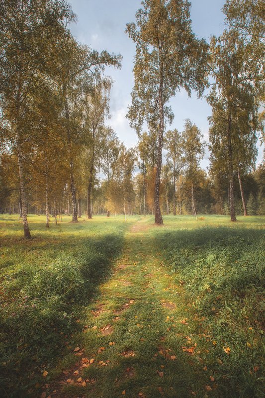 Усадьба Остафьево фото превью